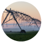 agricultural infrastructure as seen at dusk