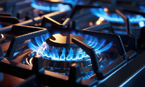 close-up photograph of blue gas flames