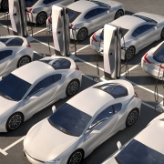 a sunlit parking lot with identical white electrical vehicles and charging stations