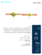 thumbnail image of Arabic Sight Glass Sell Sheet PDF