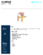 thumbnail image of Chinese TXV BD Series Sell Sheet PDF