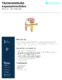 thumbnail image of Dutch TXV BD Series Sell Sheet PDF