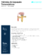 thumbnail image of Portuguese TXV BD Series Sell Sheet PDF